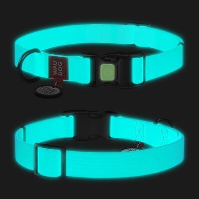 Zgardă WAUDOG Waterproof cu pașaport QR, luminoasă 15 mm / 25-35 cm Verde Mentă G1020 foto