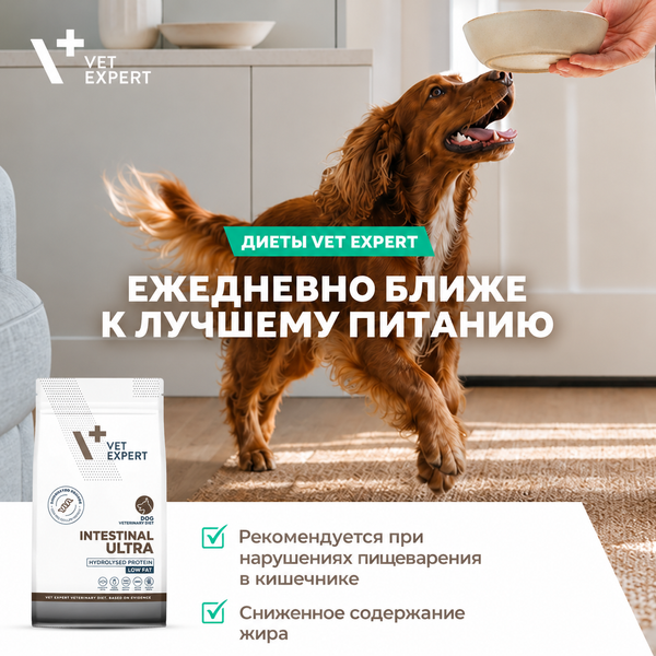 VetExpert Veterinary Diet Dog Intestinal Ultra Low Fat 2 kg D70115 foto