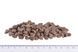 Brit Care Mini Grain Free Hair & Skin D8037 фото 2