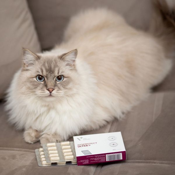 VetExpert BioProtect Ultra 30 Capsule S1014 foto