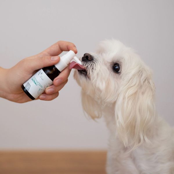 VetExpert Stomaferin Ultra 30 ml S1035 foto