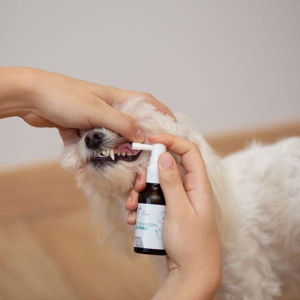 VetExpert Stomaferin Ultra 30 ml S1035 foto