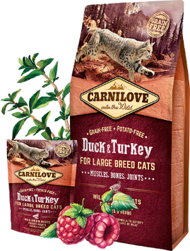 Carnilove Duck & Turkey for Large Breed Cats 2 kg K1511 foto