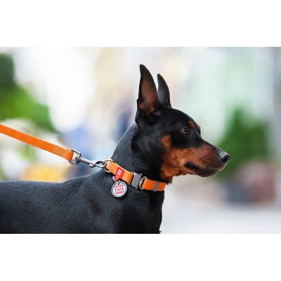 Zgardă WAUDOG Waterproof cu pașaport QR 25 mm / 34-49 cm Portocaliu G1011 foto