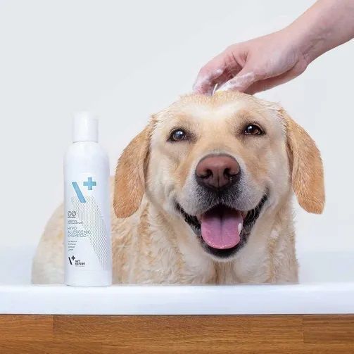VetExpert Hypoallergenic Shampoo 250 мл С1023 фото