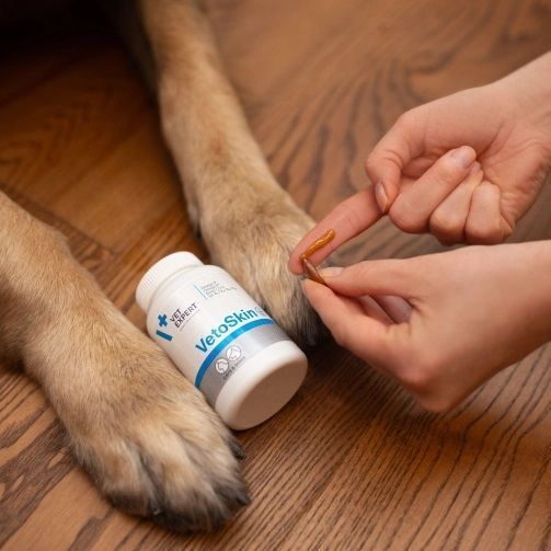 VetExpert VetoSkin 60 capsule S1002 foto