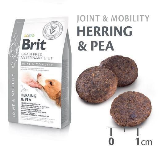 Brit GF Veterinary Diets Dog Joint & Mobility 2 kg D8030 foto