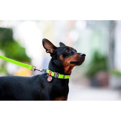 Zgardă WAUDOG Waterproof cu pașaport QR 25 mm / 34-49 cm Verde Deschis G1012 foto