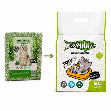 Elegant Cat Tofu Green Tea 6 l 4049 foto