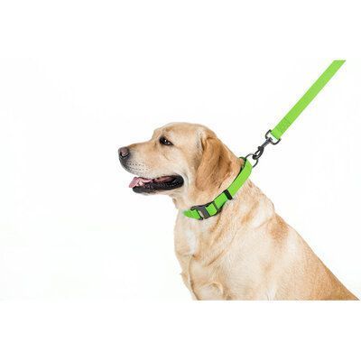 Lesă pentru c&acirc;ini WAUDOG Waterproof, M, 20 mm x 183 cm, Verde lime G1003 foto