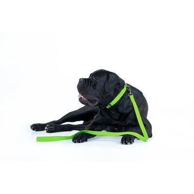 Lesă pentru c&acirc;ini WAUDOG Waterproof, M, 20 mm x 183 cm, Verde lime G1003 foto