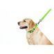 Lesă pentru c&acirc;ini WAUDOG Waterproof, M, 20 mm x 183 cm, Verde lime G1003 foto 3