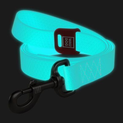 Поводок для собак водостойкий WAUDOG Waterproof, светящийся, M, 20 мм x 183 см, Ментоловый G1006 фото