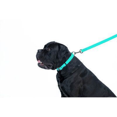 Поводок для собак водостойкий WAUDOG Waterproof, светящийся, M, 20 мм x 183 см, Ментоловый G1006 фото