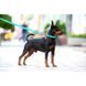 Zgardă WAUDOG Waterproof cu pașaport QR, luminoasă 25 mm / 34-49 cm Verde Mentă G1013 foto 5