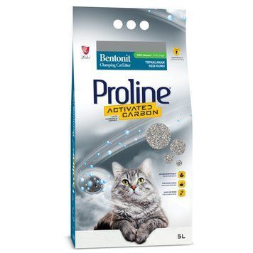 Proline Activated Carbon Nisip bentonitic 5 l 4055 foto