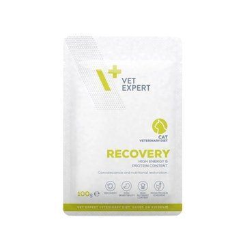 VetExpert Veterinary Diet Cat Recovery Wet 100g K2042 foto