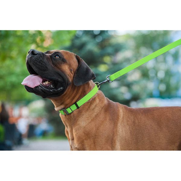 Поводок для собак водостойкий WAUDOG Waterproof, M, 20 мм x 122 см, Салатовый G1008 фото
