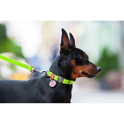Ошейник WAUDOG Waterproof c QR-паспортом 20 мм / 28-40 см Салатовый G1015 фото