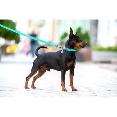Zgardă WAUDOG Waterproof cu pașaport QR, luminoasă 20 mm / 28-40 cm Verde Mentă G1017 foto