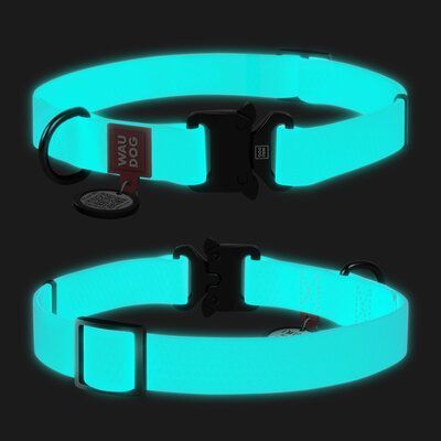 Zgardă WAUDOG Waterproof cu pașaport QR, luminoasă 20 mm / 28-40 cm Verde Mentă G1017 foto